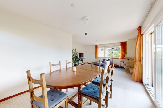 esszimmer mit drywall, gipskartonwand, carpet, teppich, und inside property