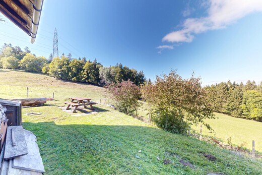 jardin avec from property, pelouse, day time, woods view, et vue sur les bois