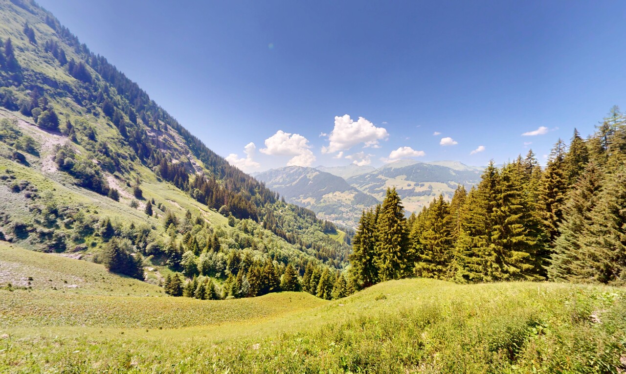 vue sur la montagne avec mountain view, vue sur la montagne, day time, forest view, et vue sur la forêt