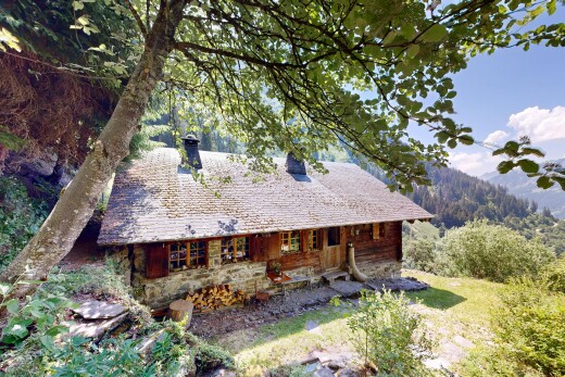 außenansicht mit property visible, schornstein, forest view, und waldblick