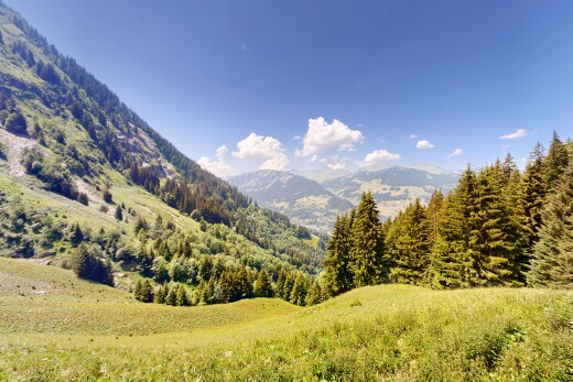 vue sur la montagne avec mountain view, vue sur la montagne, day time, forest view, et vue sur la forêt