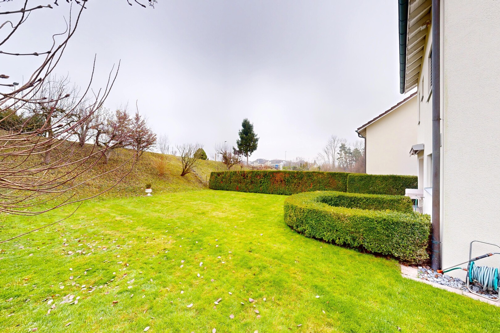 garten mit rasen, overcast, und from property