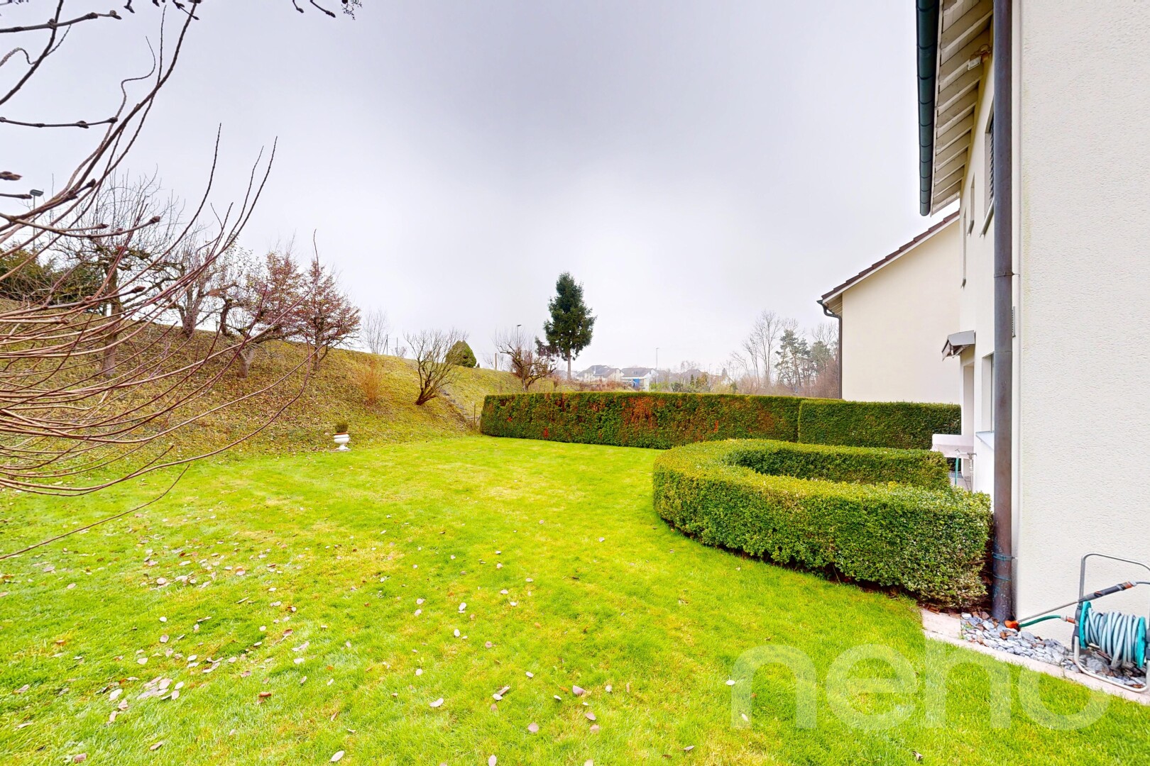 garten mit rasen, overcast, und from property