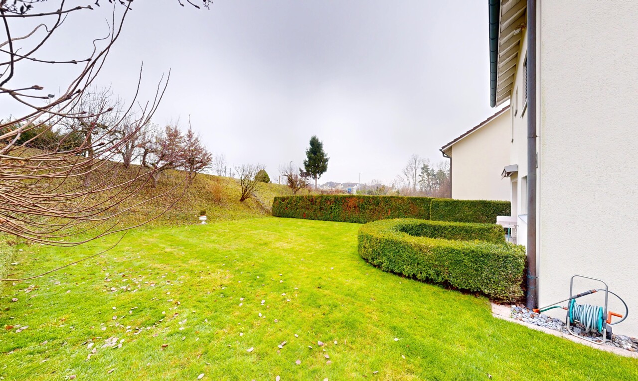 garten mit rasen, overcast, und from property