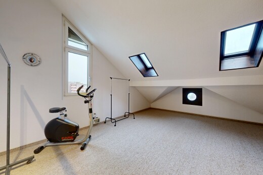 gym avec plafond voûté, vaulted ceiling, plafond bas, low ceiling, et cloison sèche