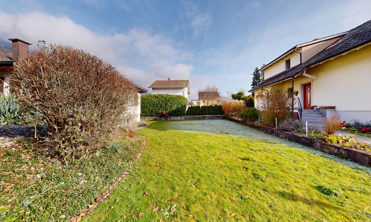 garden with a lawn
