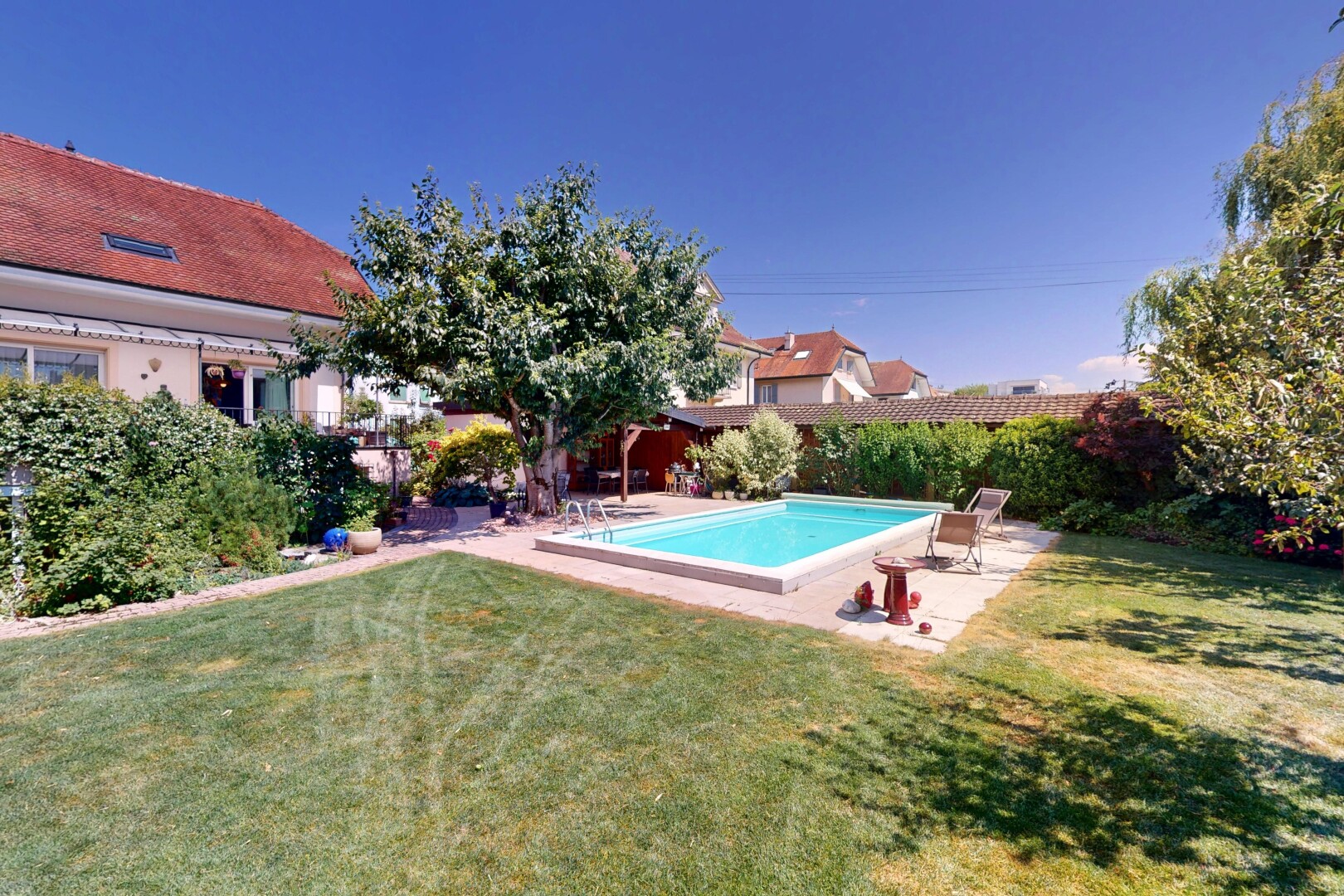 schwimmbad mit rasen, schwimmbad, zaun, terrasse, und day time