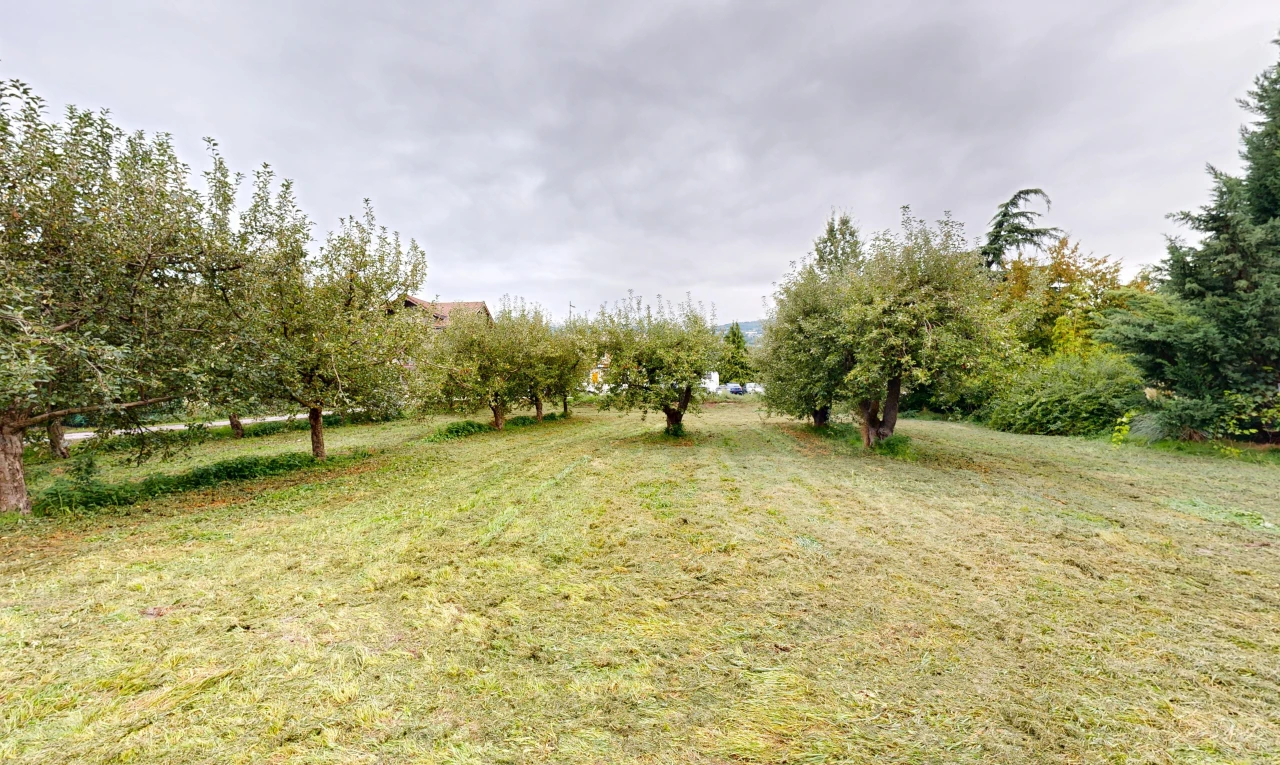 jardin avec overcast et unknown