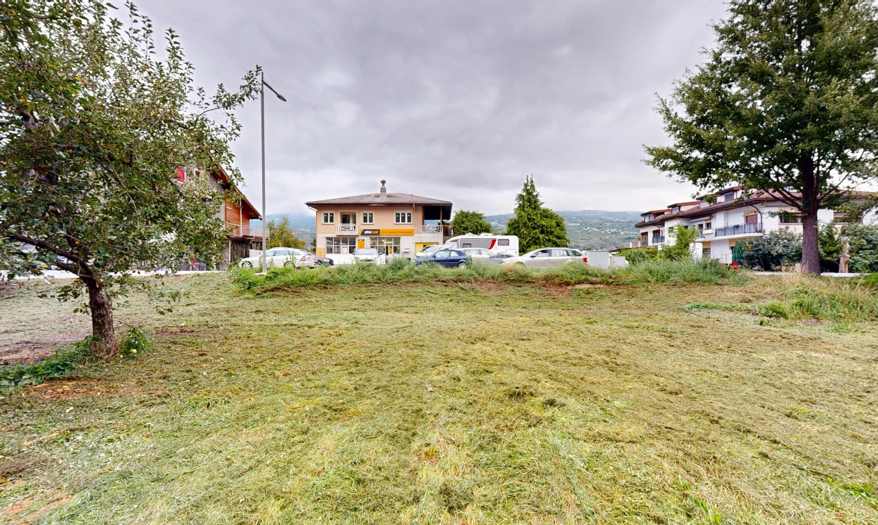 jardin avec overcast