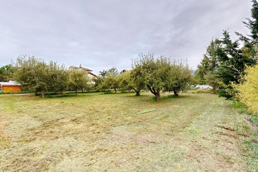 jardin avec overcast et unknown