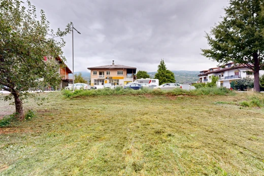 jardin avec overcast