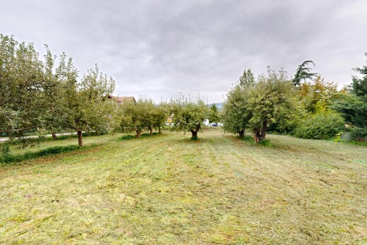 jardin avec overcast et unknown