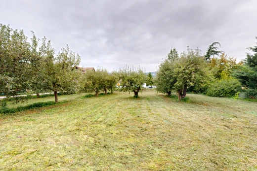 jardin avec overcast et unknown