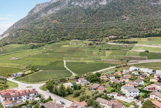 vue sur la montagne avec orchard / agricultural view, vue sur le verger/agriculture, mountain view, vue sur la montagne, et rural view