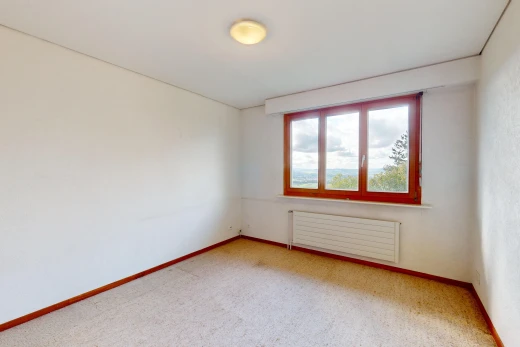 leerer raum mit kühler, teppich, und natürliches licht