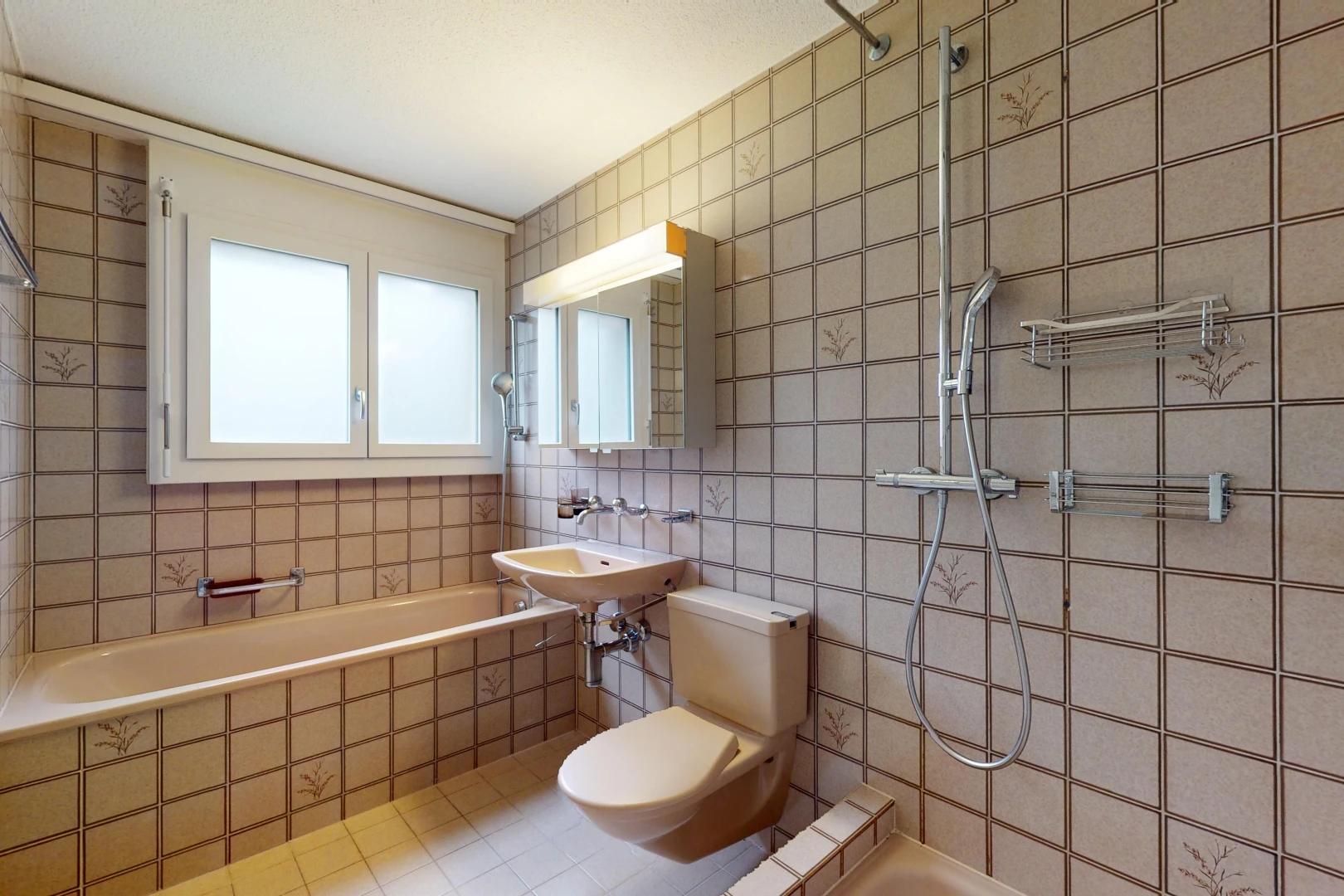 salle de bains avec mur carrelé, lumière naturelle, miroir, et toilettes