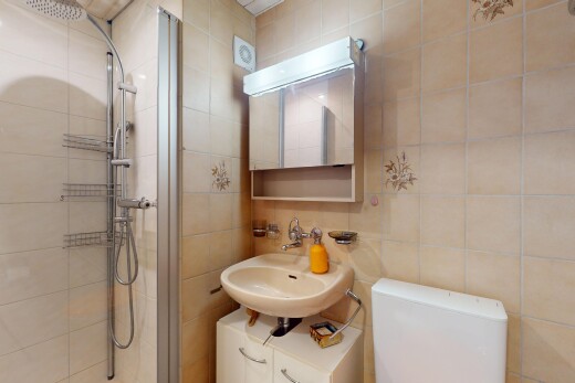 bad mit toilette, dusche, fliesenwand, waschbecken, und spiegel