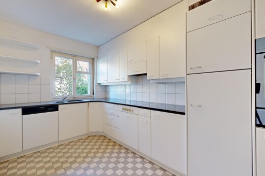 küche mit dark countertops, arbeitsplatten, vinylboden, vinyl floor, und light floor