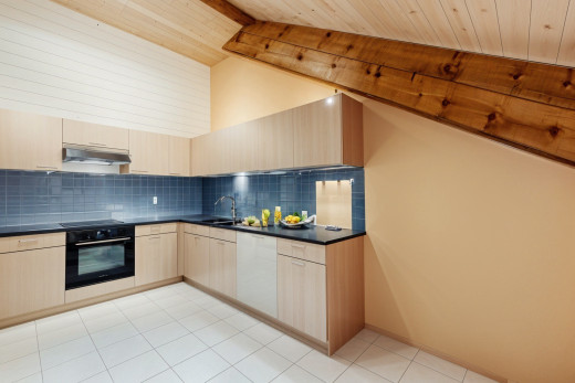 küche mit dunstabzugshaube, arbeitsplatten, geschirrspülmaschine, holzdecke, und ofen