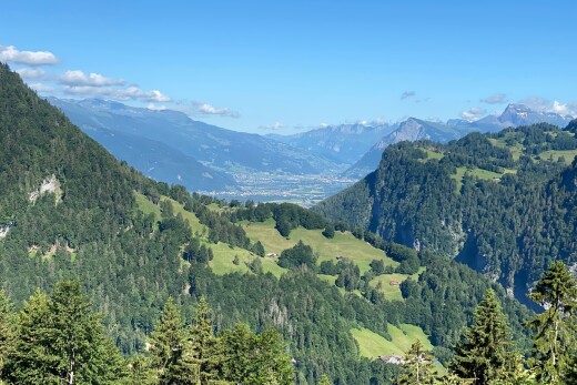 blick auf die berge mit waldblick, forest view, blick auf die berge, mountain view, und day time