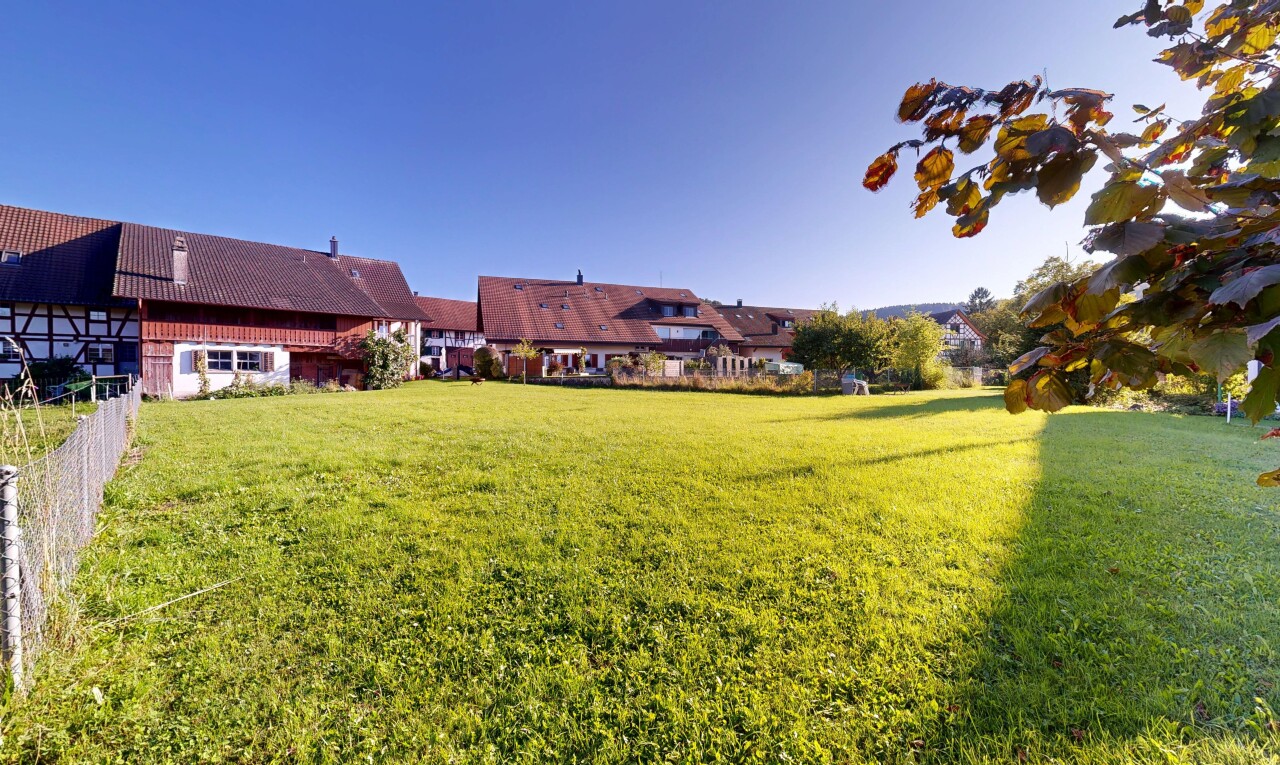 garden with a lawn
