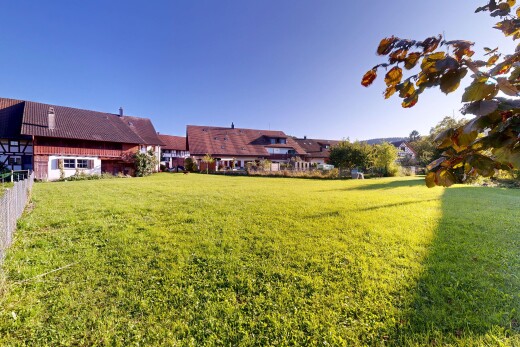 jardin avec day time, pelouse, et property visible
