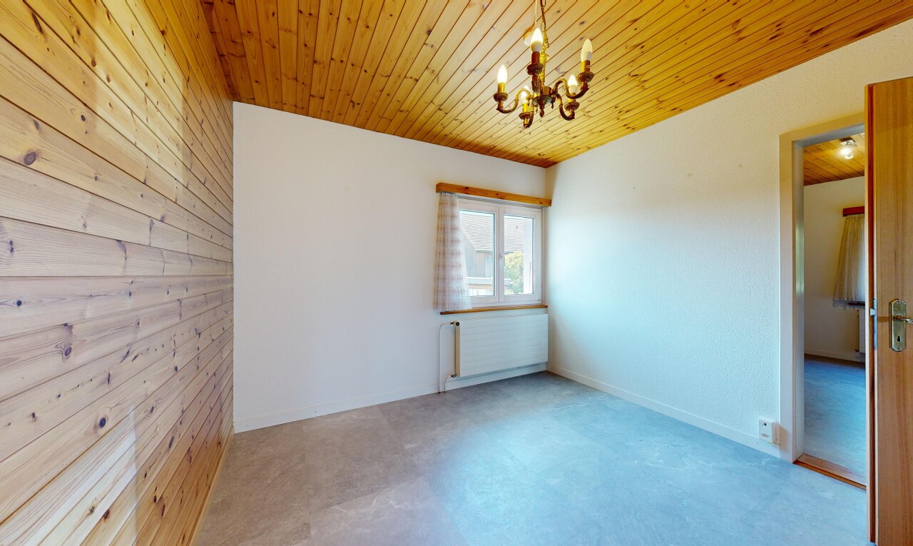 leerer raum mit holzwand, wood wall, holzdecke, wood ceiling, und natürliches licht