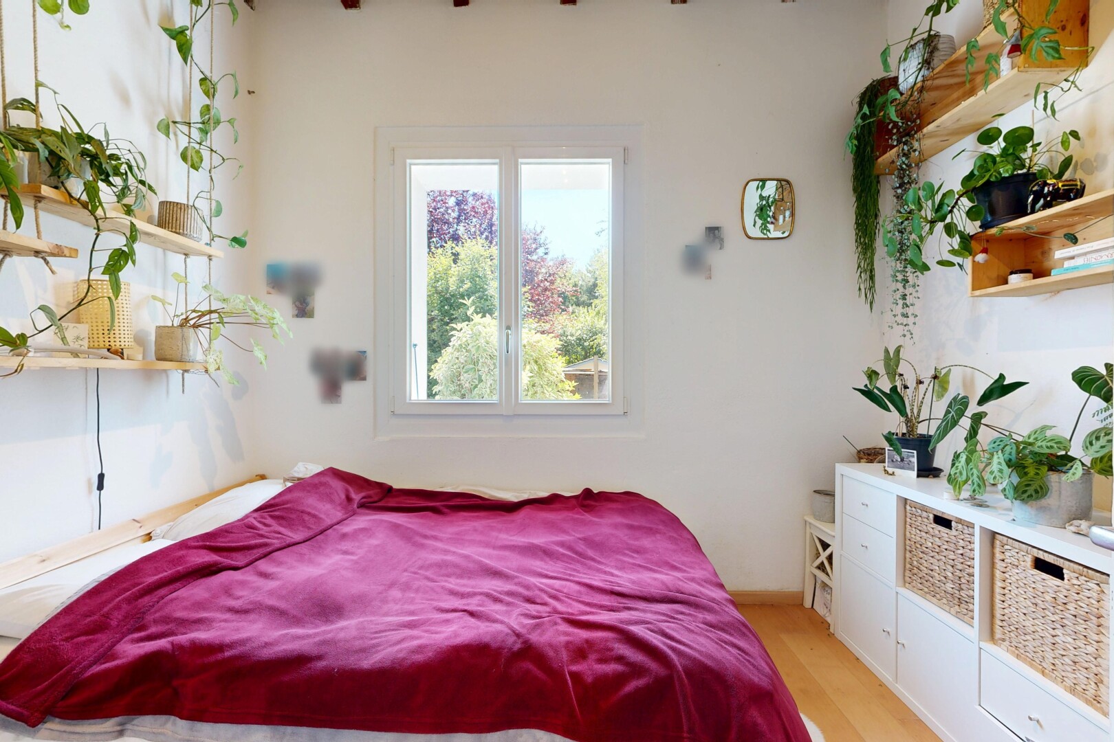 chambre avec drywall, cloison sèche, lumière naturelle, inside property, et wood finish floor