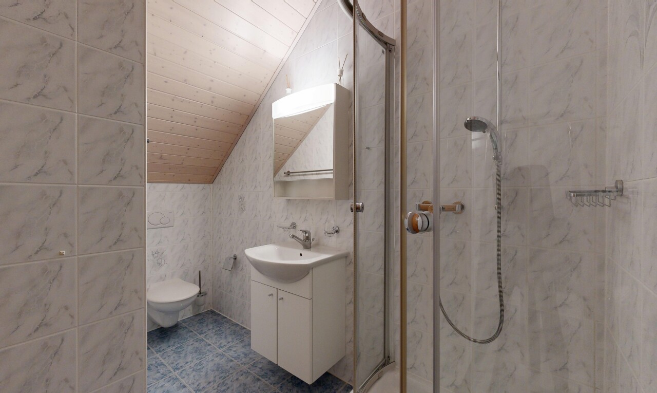 salle de bains avec vaulted ceiling, plafond voûté, lavabo (ou coiffeuse selon le contexte), salle de bain complète, et douche