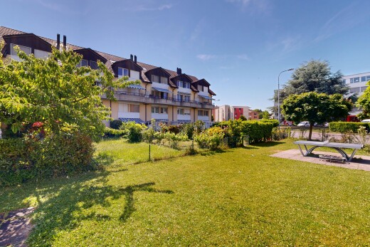 jardin avec pelouse et day time