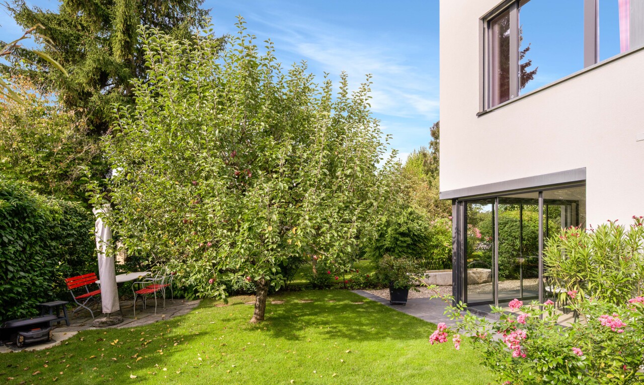 garten mit rasen, day time, und terrasse