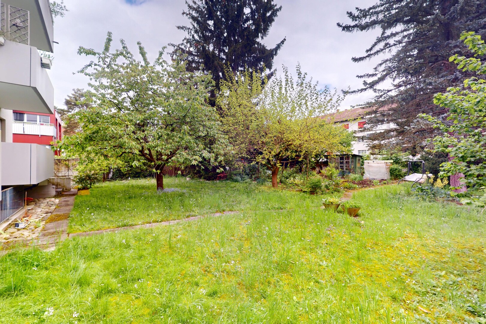 jardin avec overcast et pelouse
