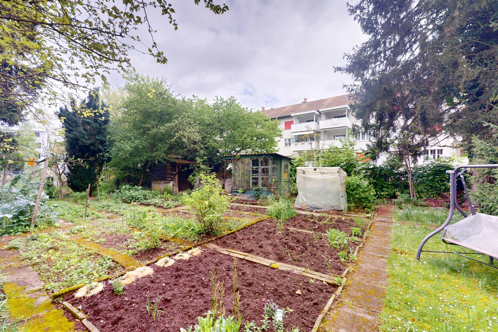 jardin avec jardin et overcast