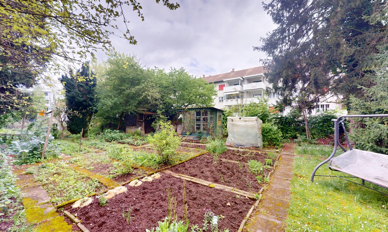 jardin avec jardin et overcast