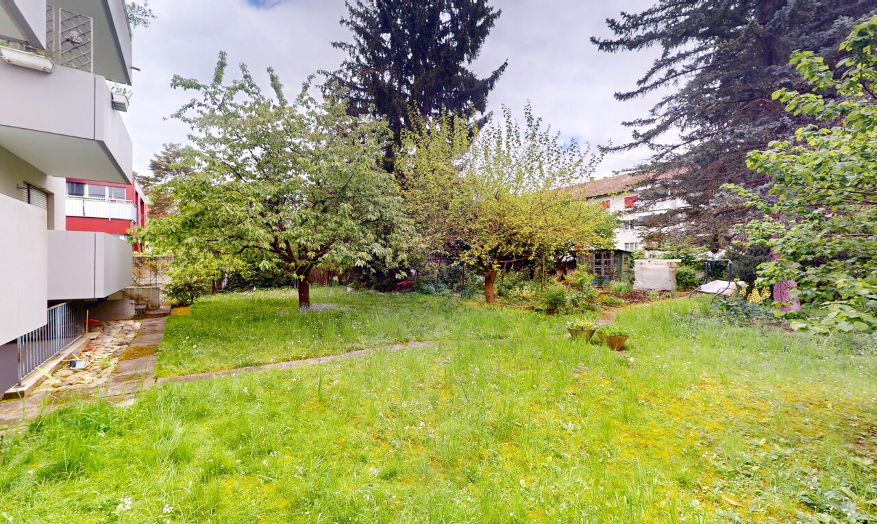 jardin avec overcast et pelouse
