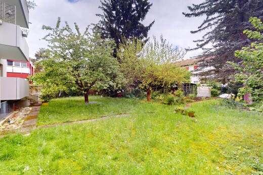 jardin avec overcast et pelouse