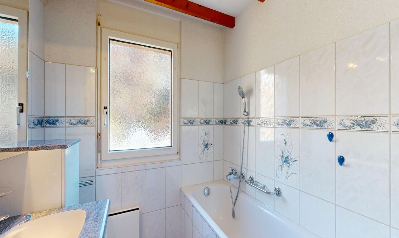 salle de bains avec lavabo (ou coiffeuse selon le contexte), salle de bain complète, douche-bain combinés, natural light, et lumière naturelle