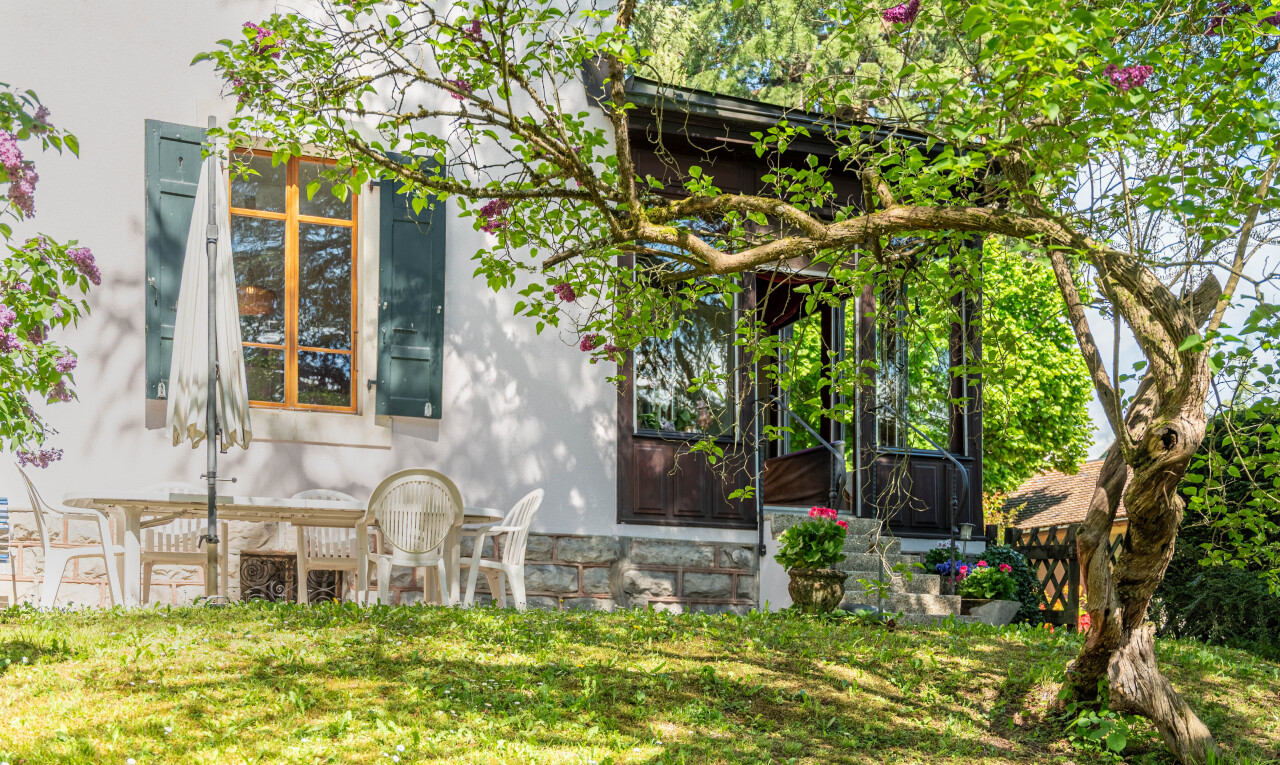 garten mit property visible und rasen