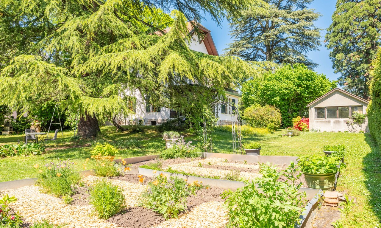garten mit rasen, day time, und property visible