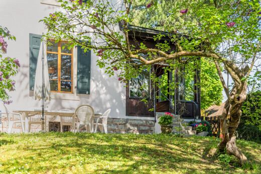 garten mit property visible und rasen