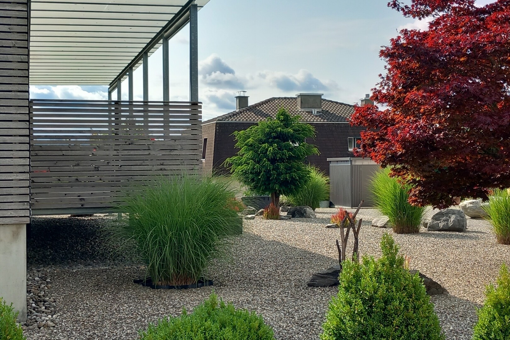 jardin avec day time et clôture