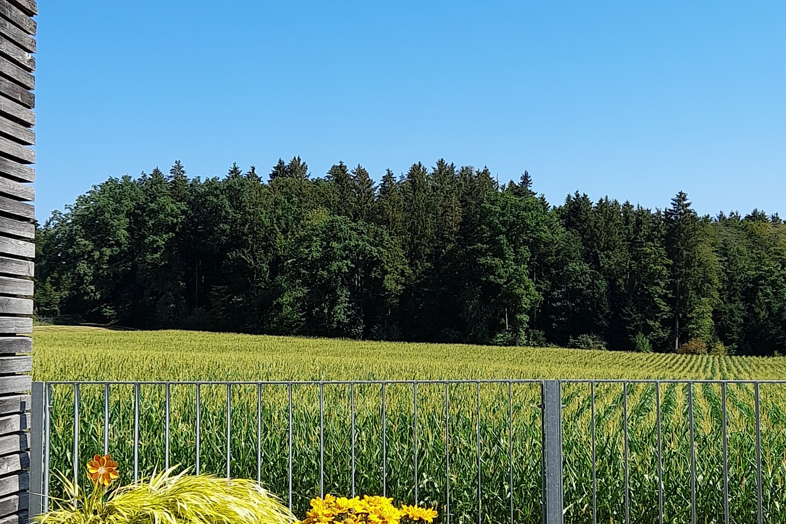 jardin avec clôture, day time, rural view, vue rurale, et orchard / agricultural view