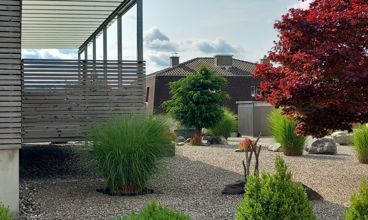 jardin avec day time et clôture