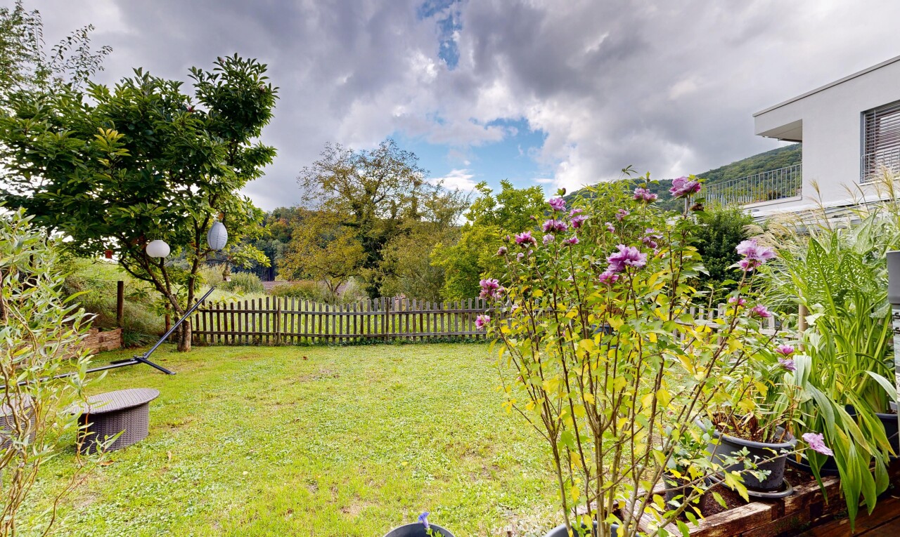 jardin avec clôture, from property, et pelouse