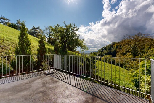 terrasse mit terrasse, day time, rasen, from property, und forest view