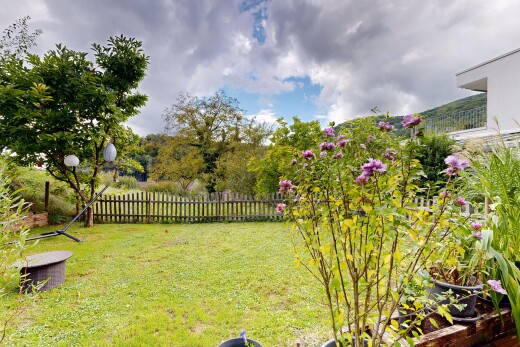 garten mit zaun, from property, und rasen