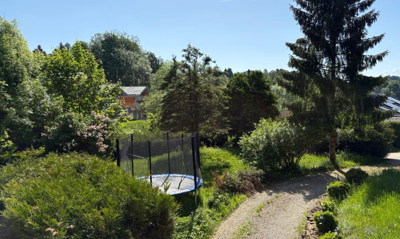 jardin avec trampoline, day time, woods view, et vue sur les bois
