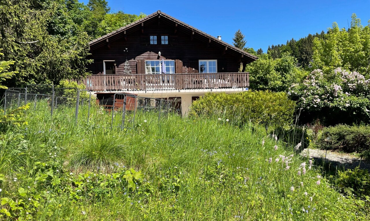 façade avec property visible, day time, terrasse, vue sur la forêt, et forest view