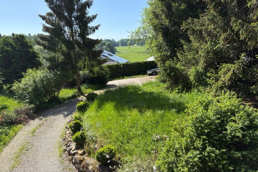 jardin avec day time
