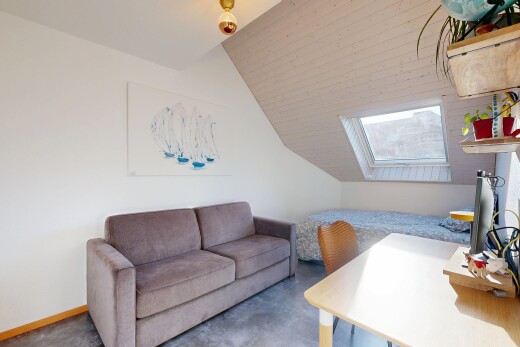 salon avec pièce supplémentaire, puits de lumière, plafond voûté, vaulted ceiling, et lumière naturelle